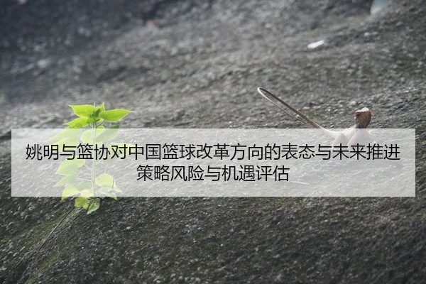 yao-ming-yu-lan-xie-dui-zhong-guo-lan-qiu-gai-ge-fang-xiang-de-biao-tai-yu-wei-lai-tui-jin-ce-lve-feng-xian-yu-ji-yu-2-416.jpg