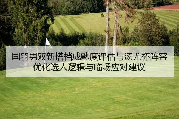 guo-yu-nan-shuang-xin-da-dang-cheng-shu-du-ping-gu-yu-tang-you-bei-zhen-rong-you-hua-xuan-ren-luo-ji-yu-lin-chang-ying-2-858.jpg